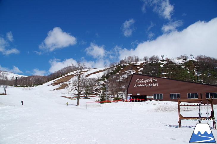 ニセコアンヌプリ国際スキー場 beautiful spring day!!